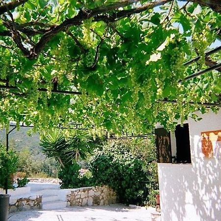 Villa Elpiniki Трулос Экстерьер фото